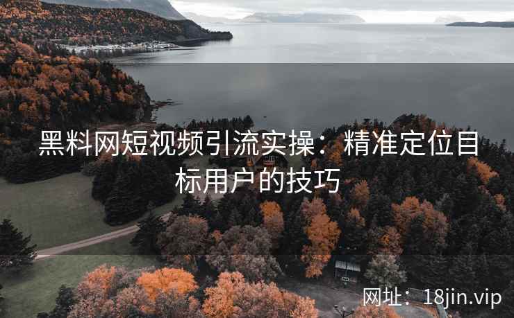 黑料网短视频引流实操：精准定位目标用户的技巧