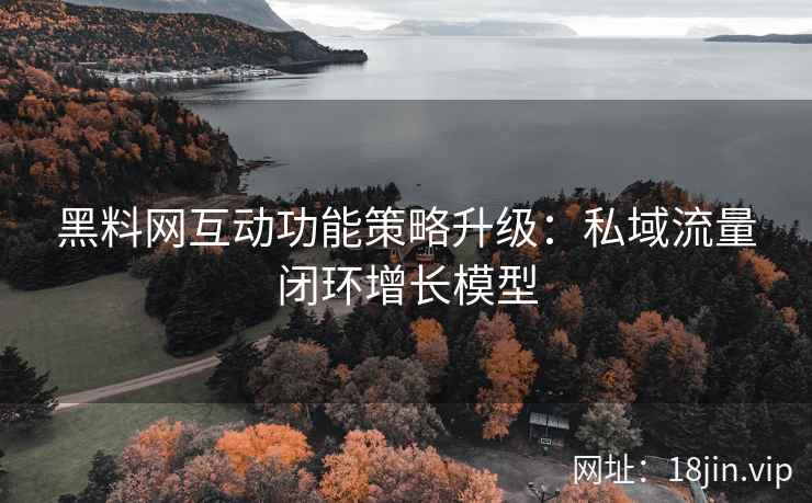 黑料网互动功能策略升级：私域流量闭环增长模型