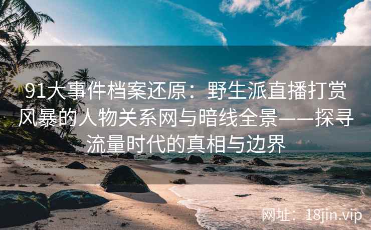 91大事件档案还原：野生派直播打赏风暴的人物关系网与暗线全景——探寻流量时代的真相与边界