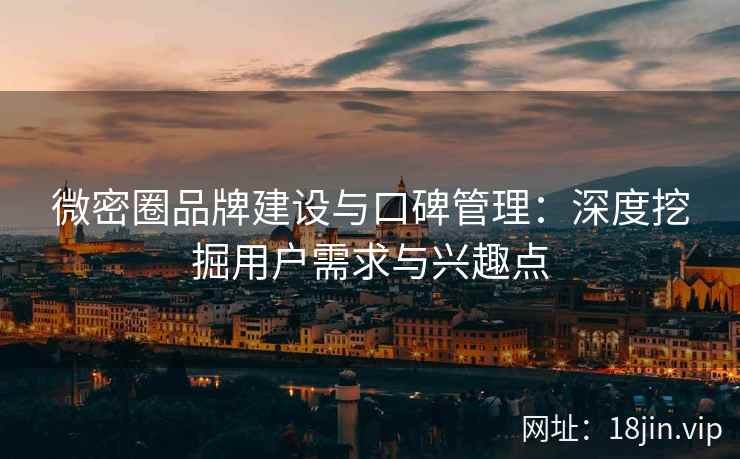 微密圈品牌建设与口碑管理：深度挖掘用户需求与兴趣点