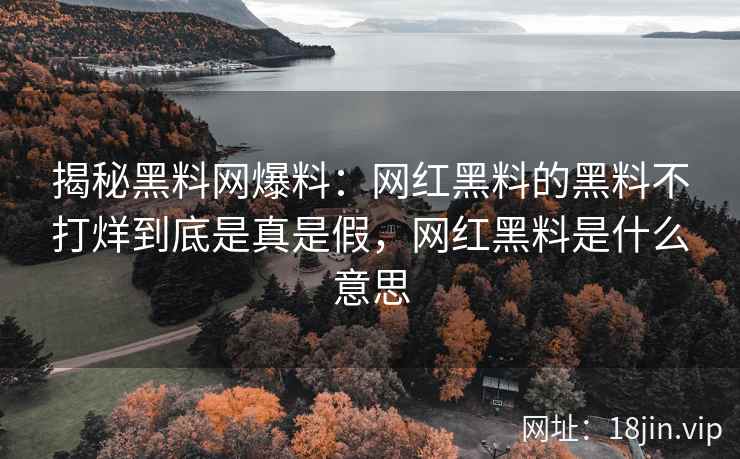 揭秘黑料网爆料：网红黑料的黑料不打烊到底是真是假，网红黑料是什么意思