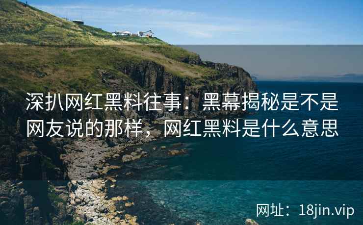 深扒网红黑料往事：黑幕揭秘是不是网友说的那样，网红黑料是什么意思