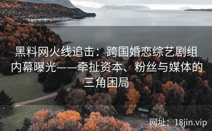 黑料网火线追击：跨国婚恋综艺剧组内幕曝光——牵扯资本、粉丝与媒体的三角困局