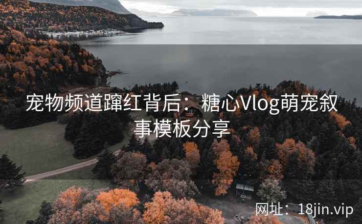 宠物频道蹿红背后：糖心Vlog萌宠叙事模板分享