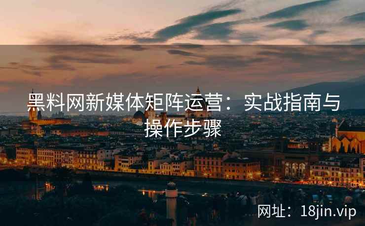 黑料网新媒体矩阵运营：实战指南与操作步骤