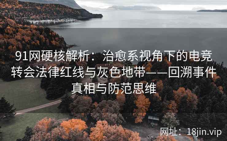 91网硬核解析：治愈系视角下的电竞转会法律红线与灰色地带——回溯事件真相与防范思维